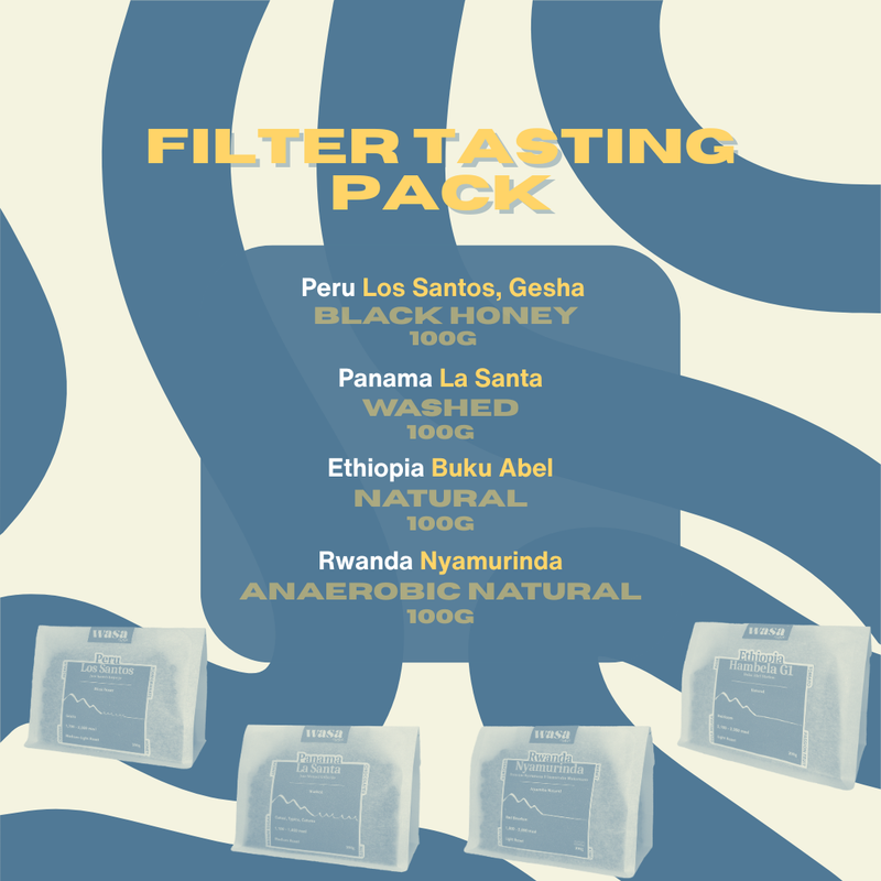 Filter Tasting Pack