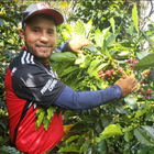 Colombia Quebraditas, Passionfruit & Yeast Co-Fermented Washed Sidra