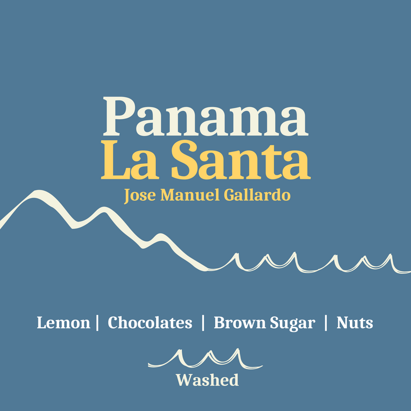 Panama La Santa, Washed