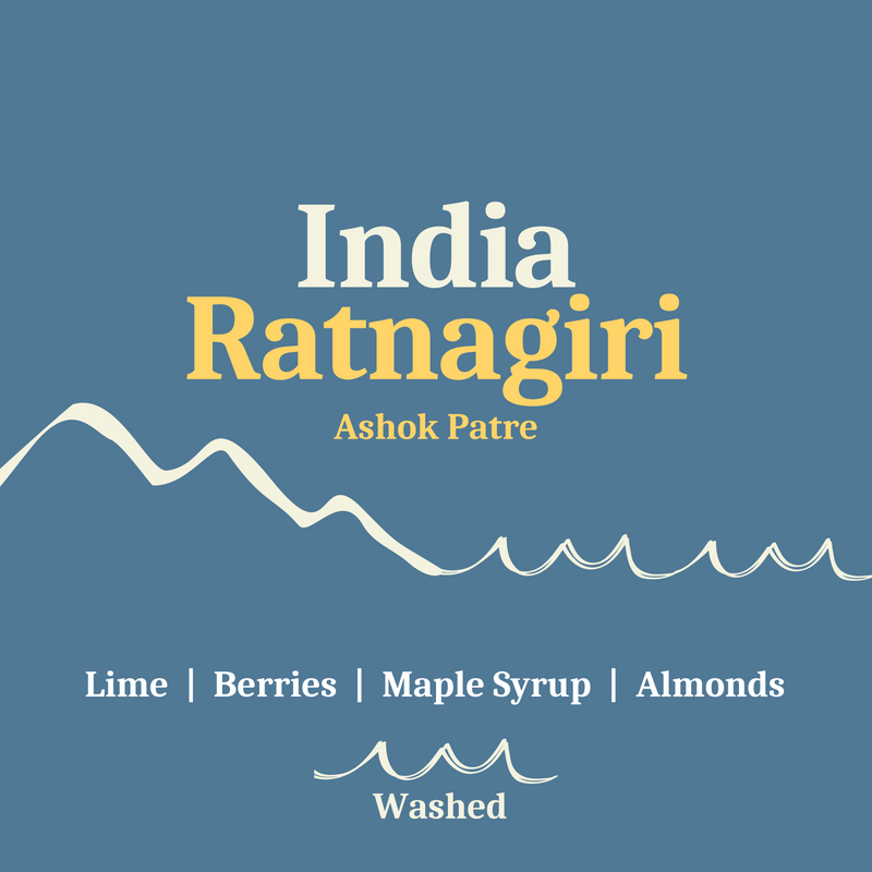 India Ratnagiri, Washed