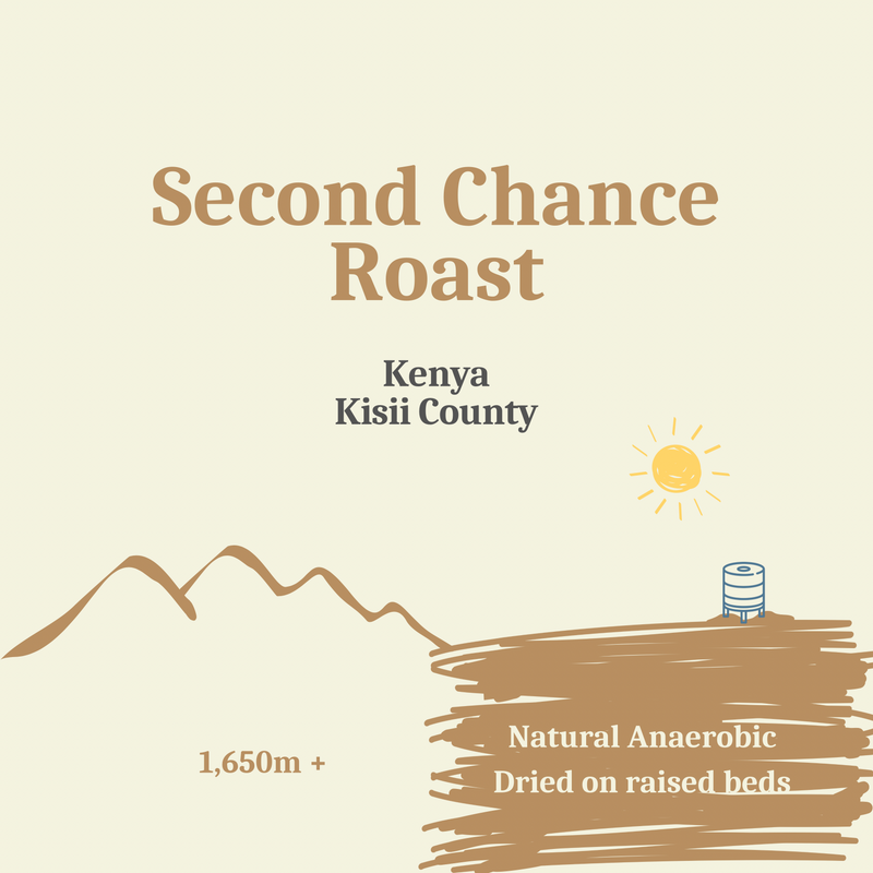 Kenya Kisii County Second Chance Roast