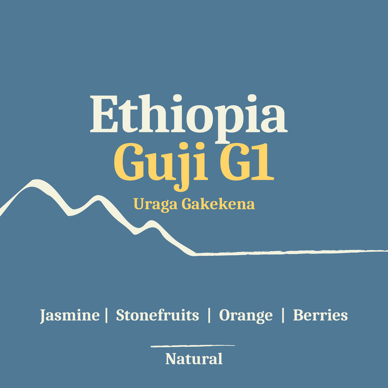 Ethiopia Guji Uraga G1, Natural