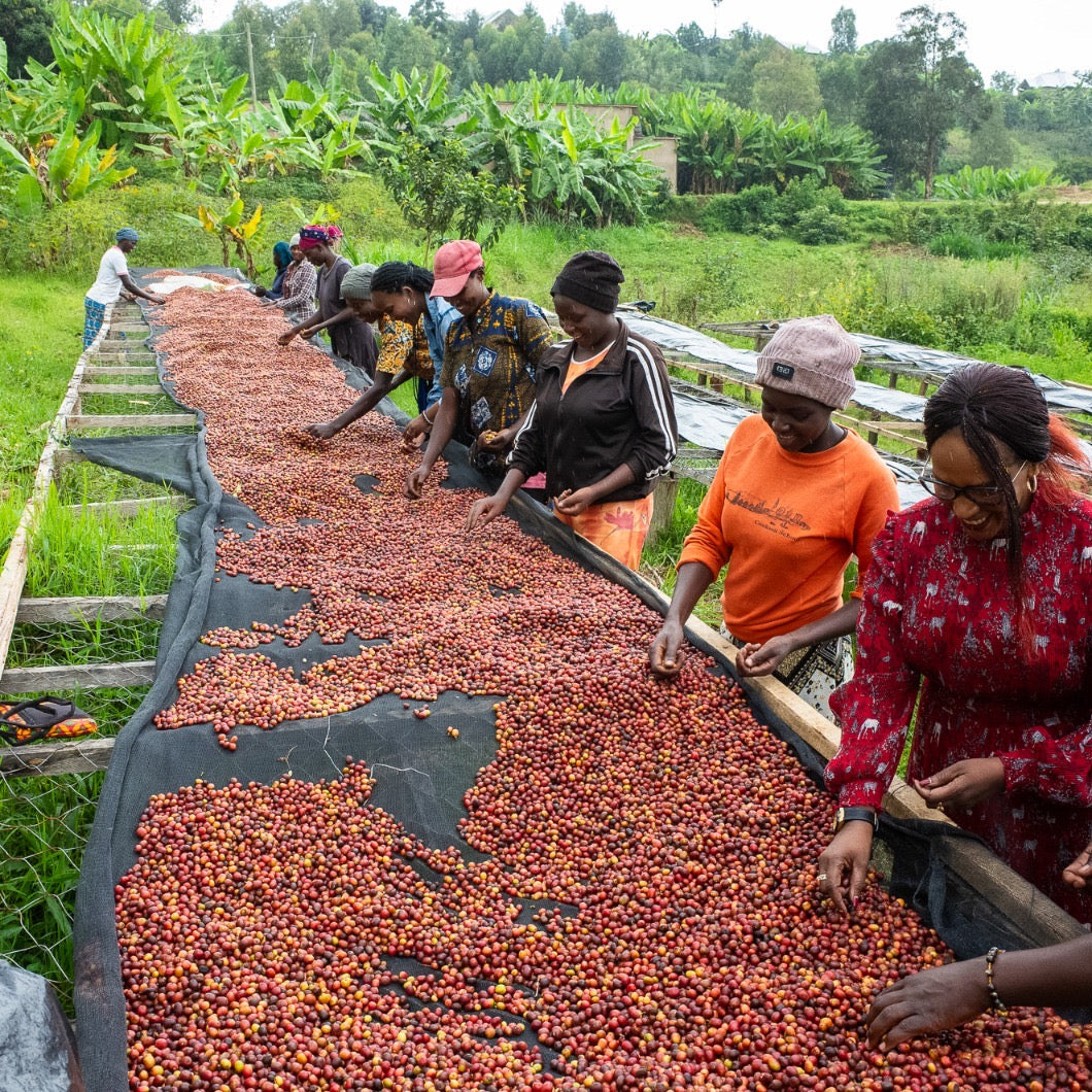 Rwanda Nyamurinda, Anaerobic Natural