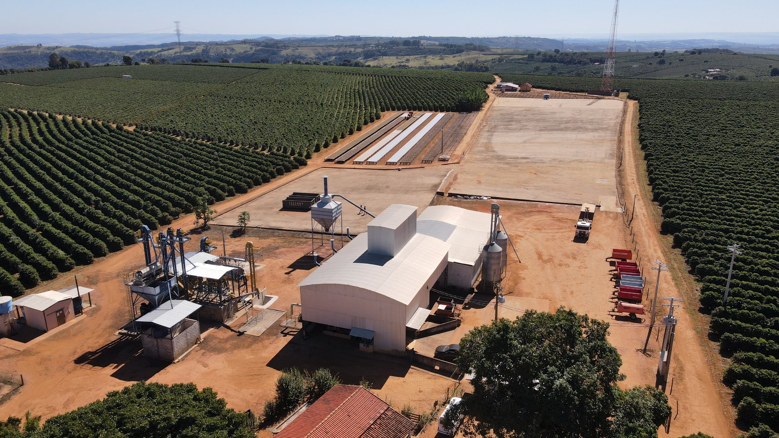 Brazil Fazenda Boa Esperança, Honey