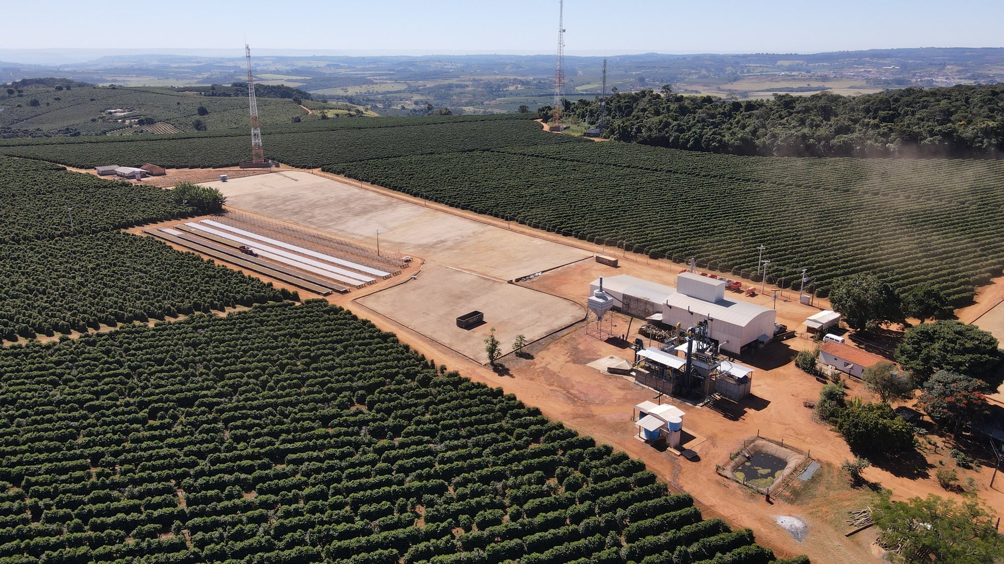 Brazil Fazenda Boa Esperança, Honey