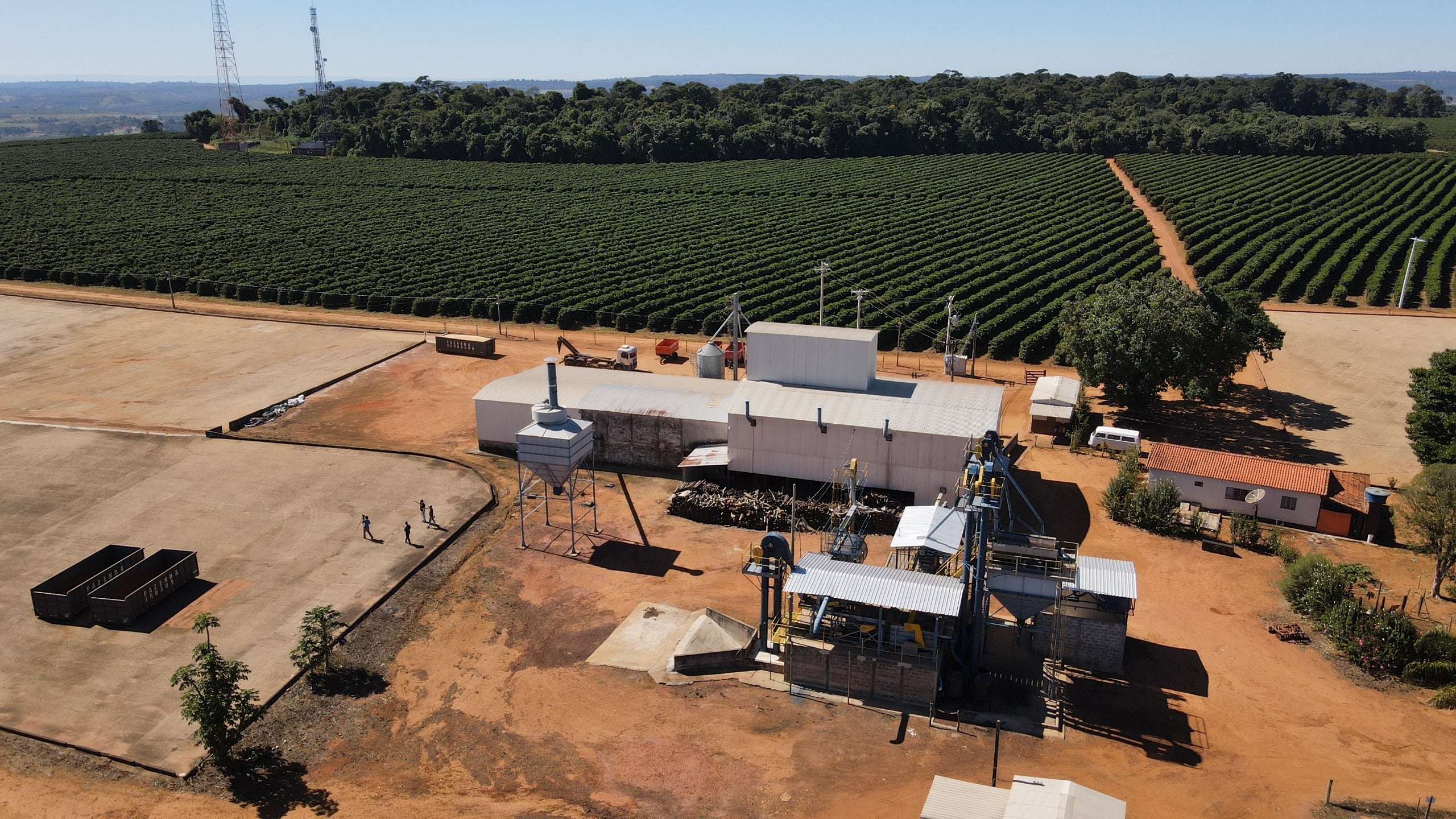 Brazil Fazenda Boa Esperança, Honey