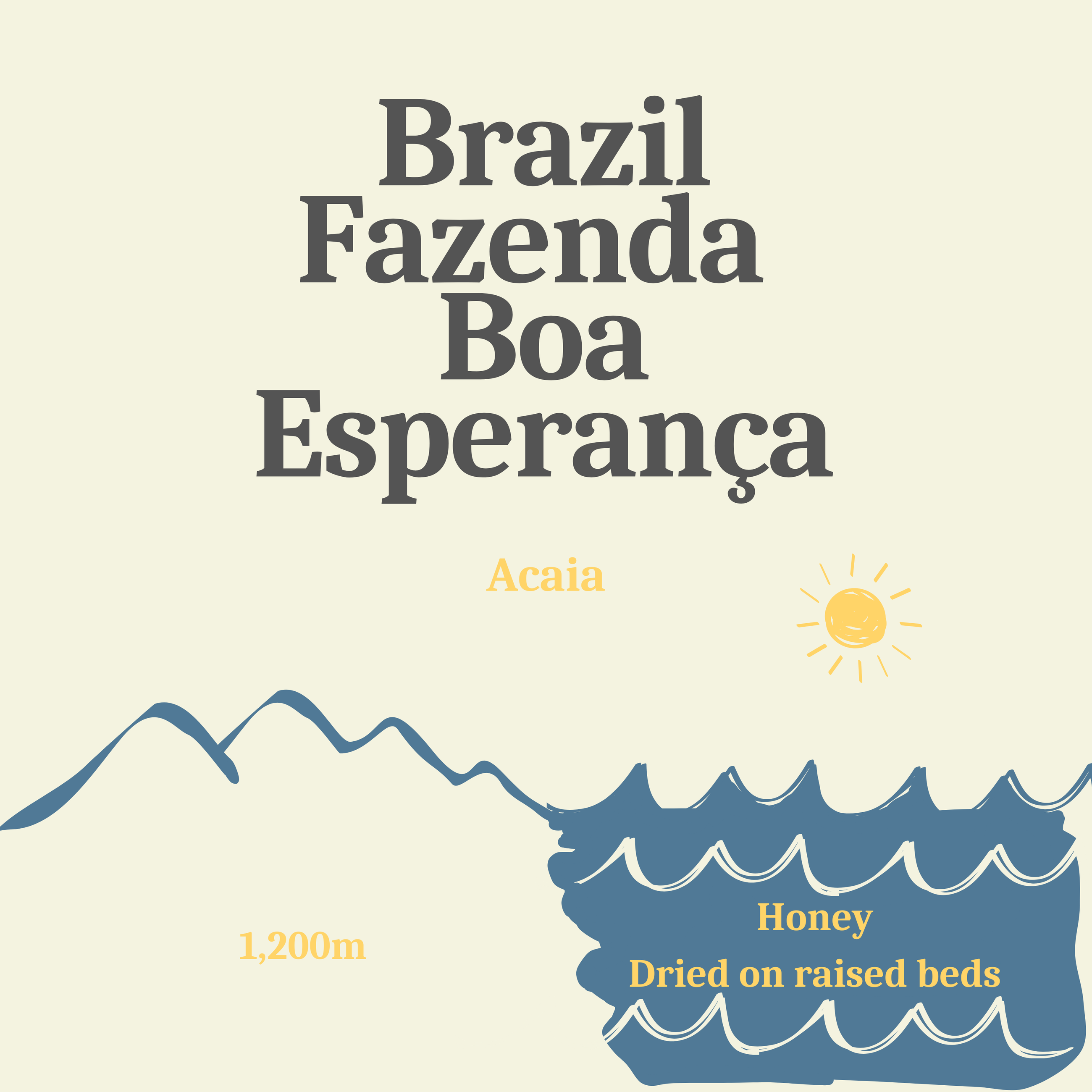 Brazil Fazenda Boa Esperança, Honey