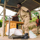 Rwanda Nyamurinda, Anaerobic Natural