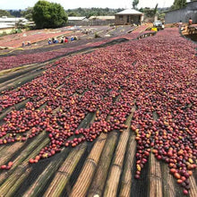 Ethiopia Guji Uraga G1, Natural