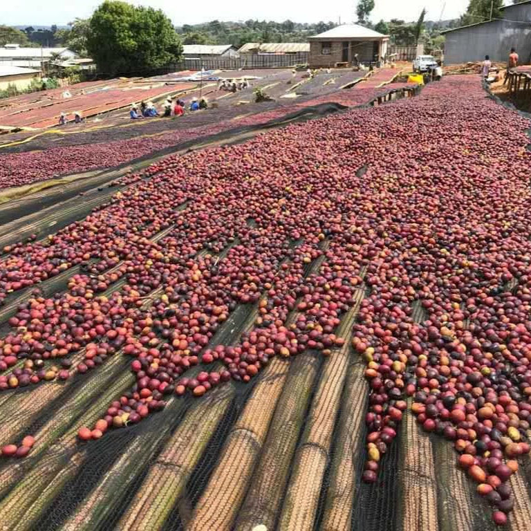 Ethiopia Guji Uraga G1, Natural