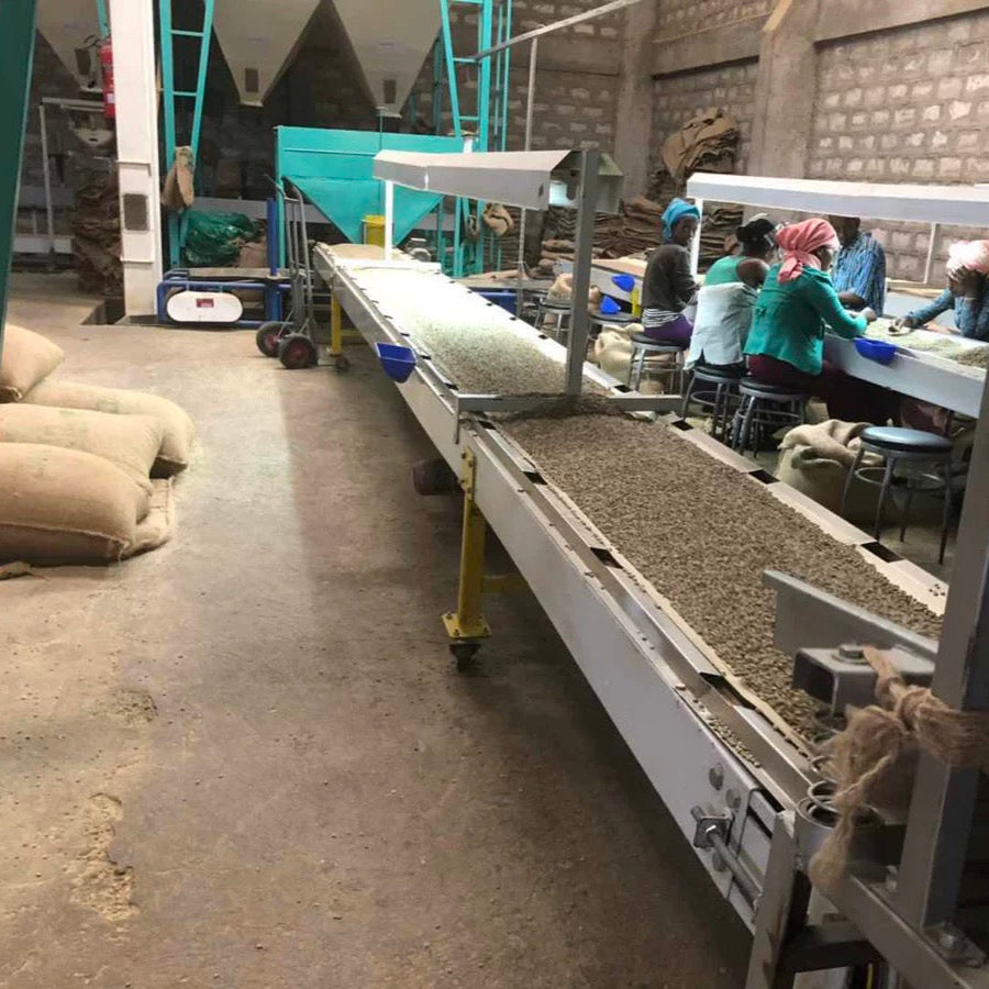 Ethiopia Guji Uraga G1, Natural