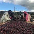 Ethiopia Guji Uraga G1, Natural