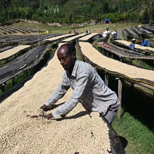 Ethiopia Hambela G1, Buku Abel Station, Natural