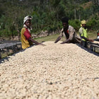 Ethiopia Hambela G1, Buku Abel Station, Natural