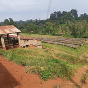 Kiaguthu AA