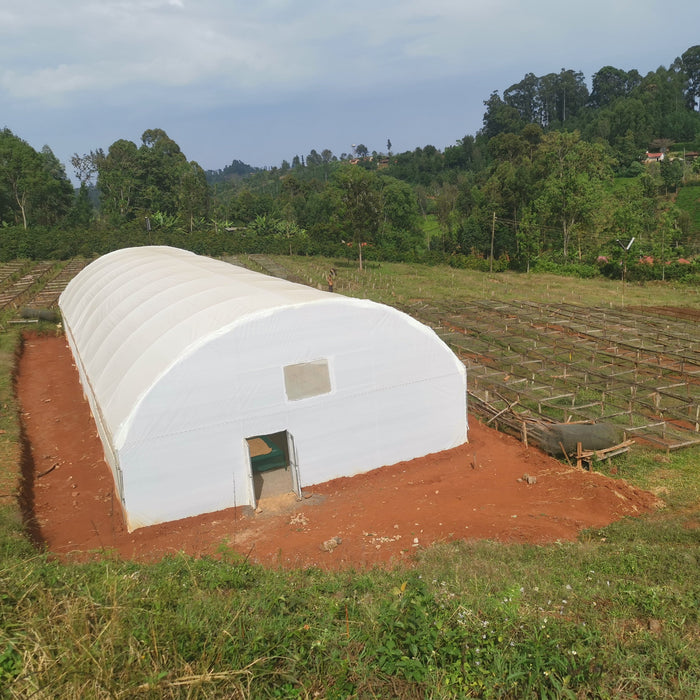 Kenya Kiaguthu AA, Washed