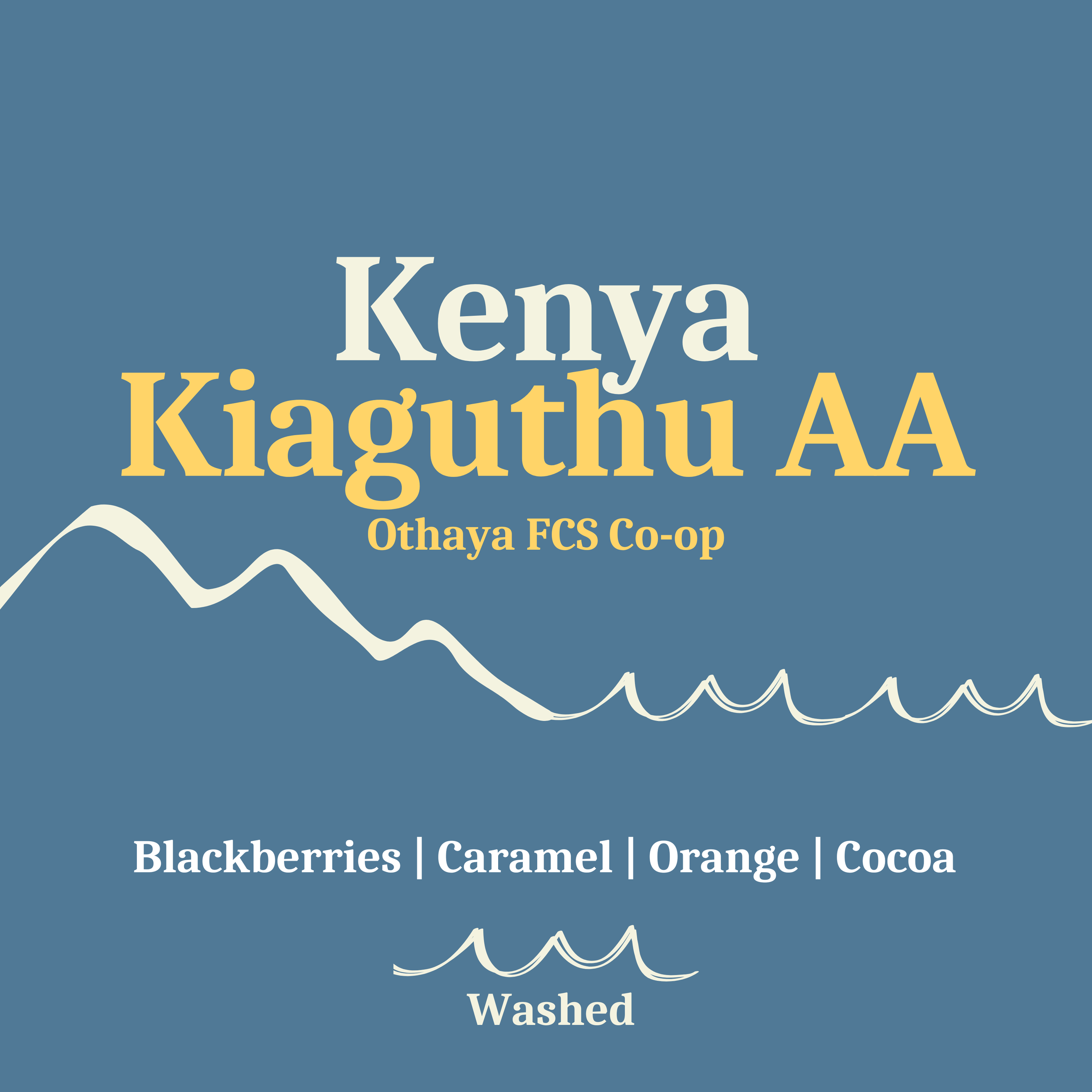 Kenya Kiaguthu AA, Washed