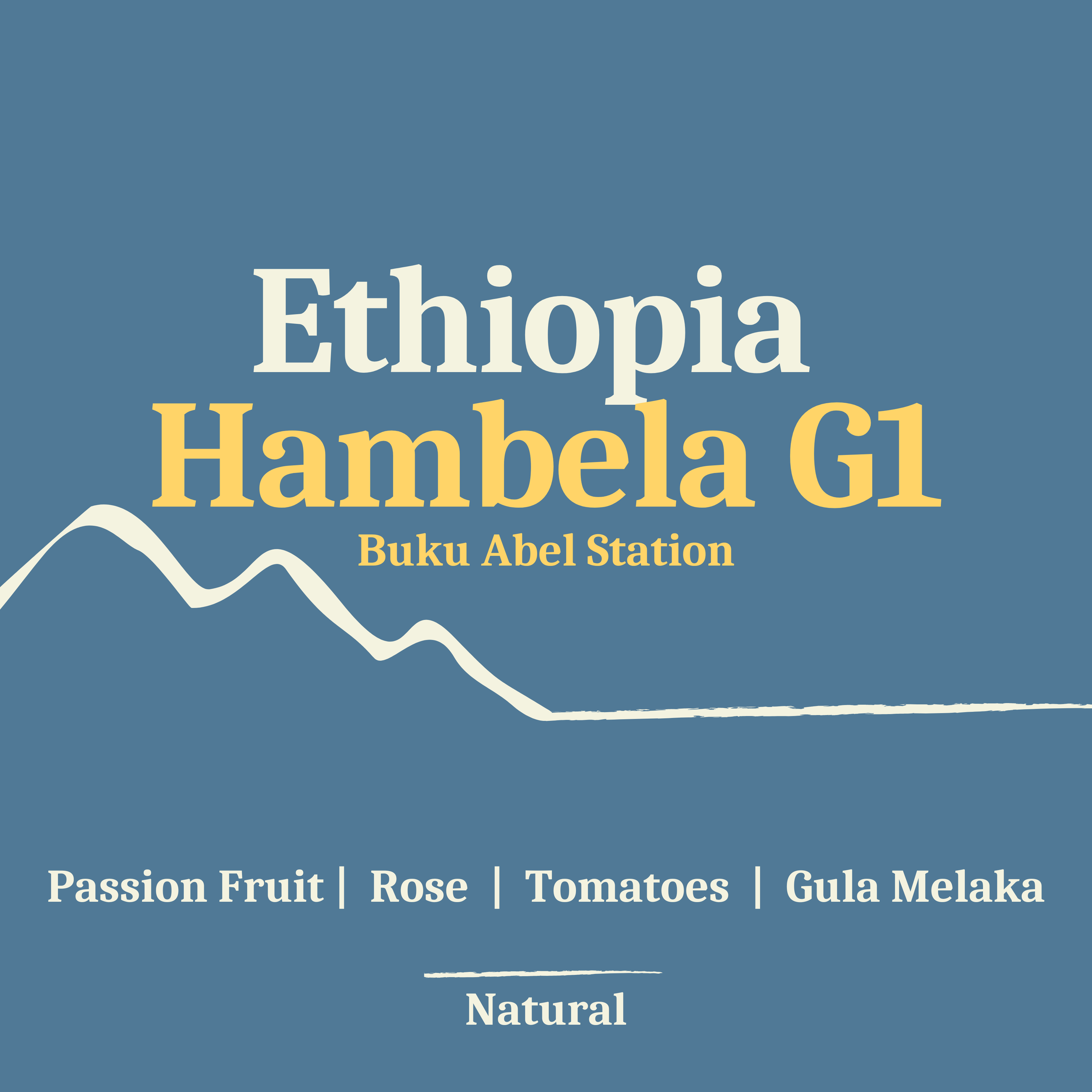 Ethiopia Hambela G1, Buku Abel Station, Natural