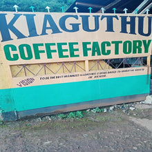 Kenya Kiaguthu AA, Washed