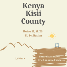 Kenya Kisii County, Anaerobic