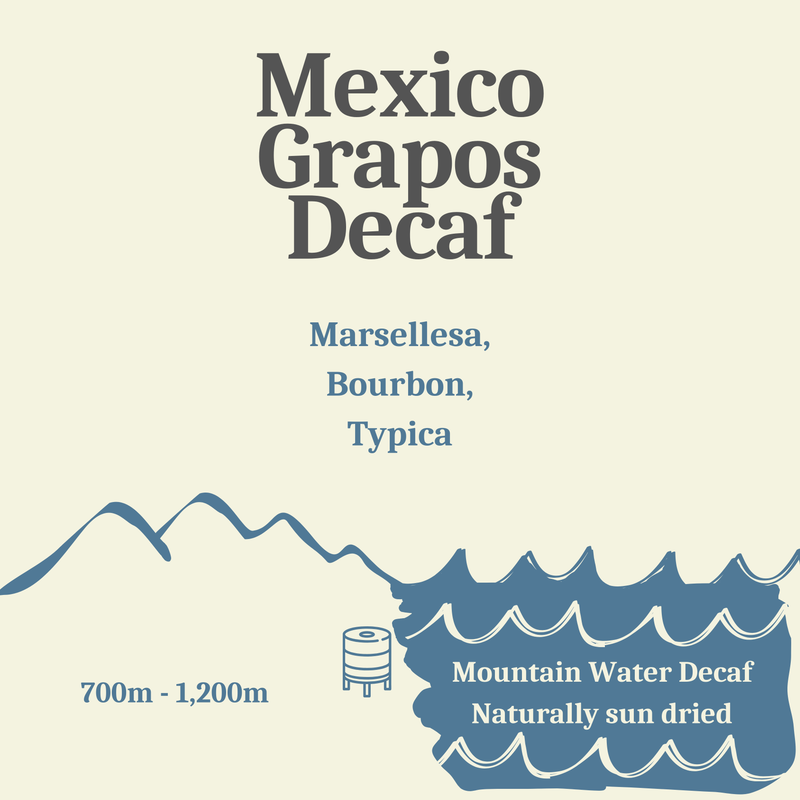 Mexico Grapos Mountain Water Decaf