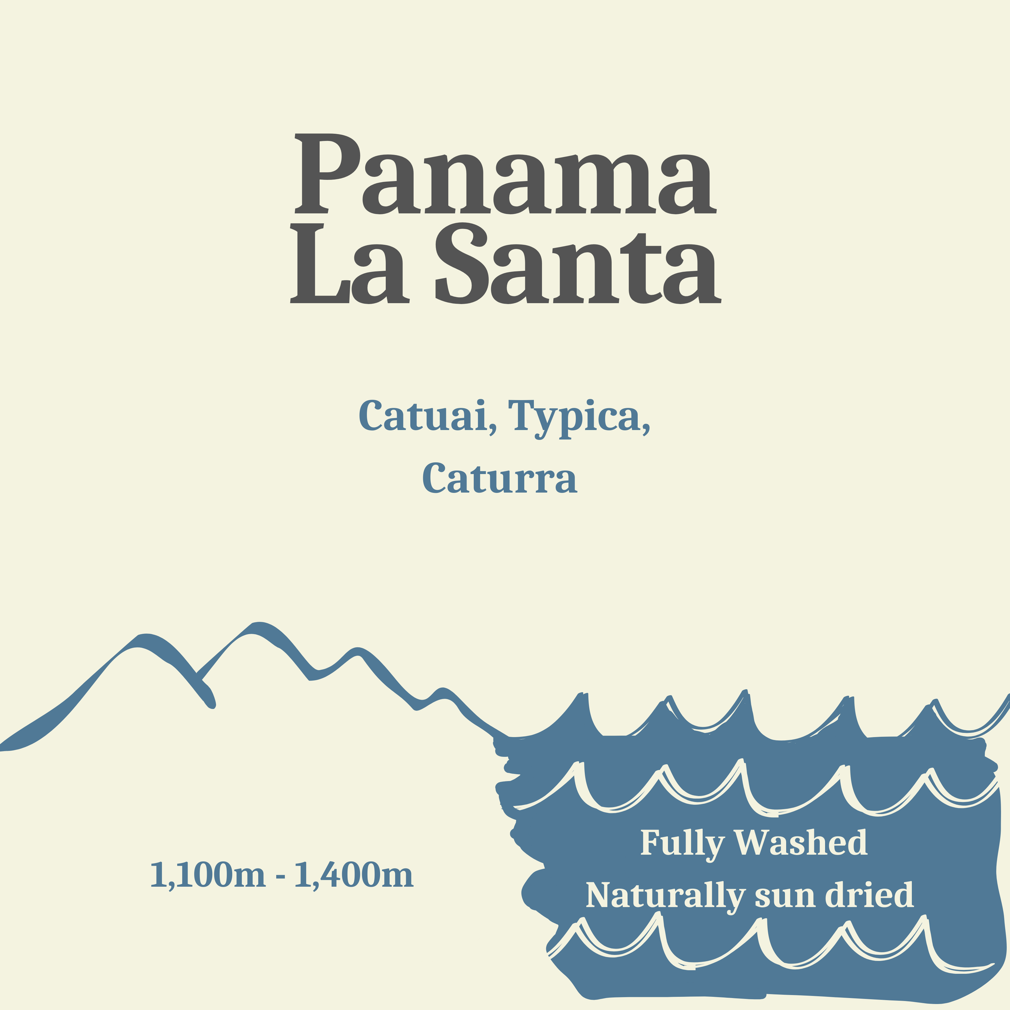 Panama La Santa, Washed