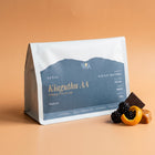 Filter Tasting Pack